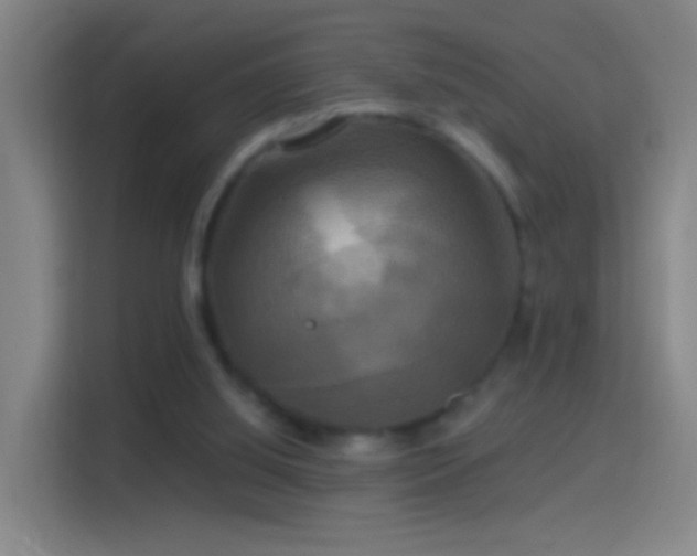 X0000114390060200910231025