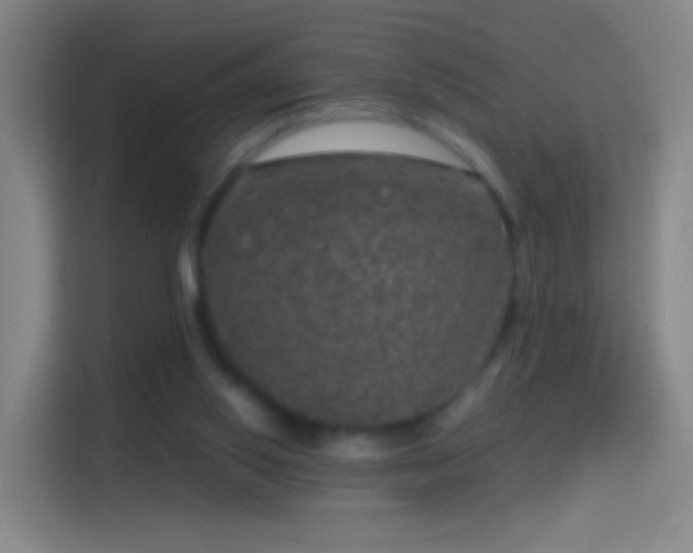 X0000114390062200910231025