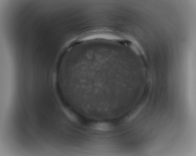 X0000114390063200910231025
