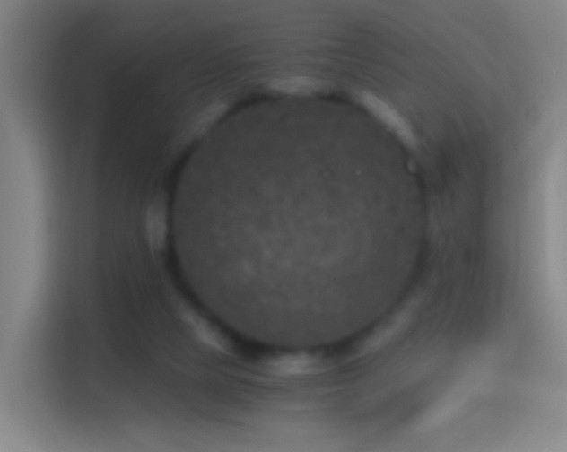 X0000114390065200910231025