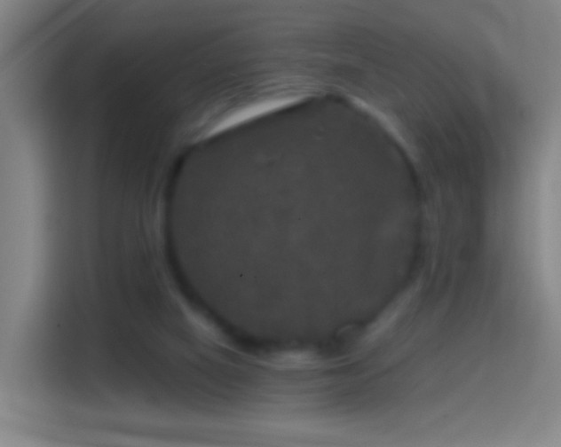 X0000114390066200910231025