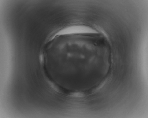 X0000114390067200910231025
