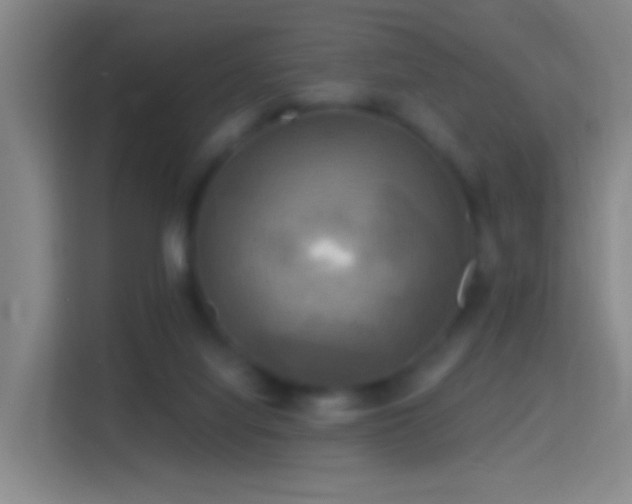 X0000114390068200910231025