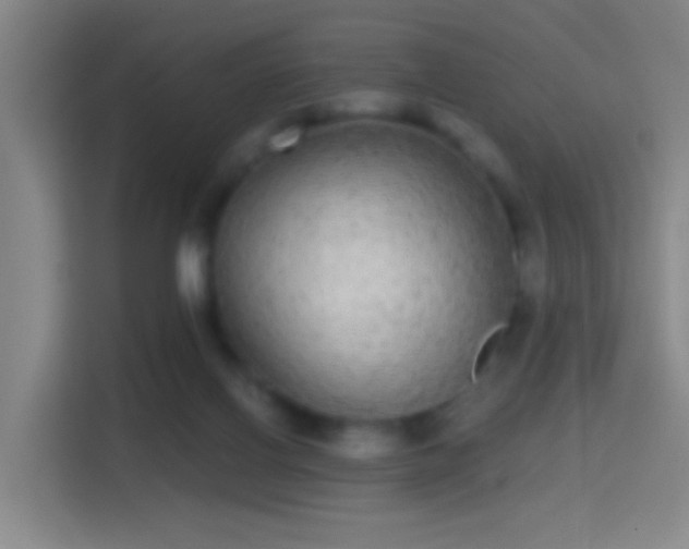 X0000114390070200910231025
