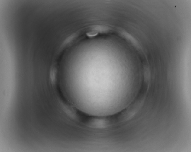 X0000114390071200910231025