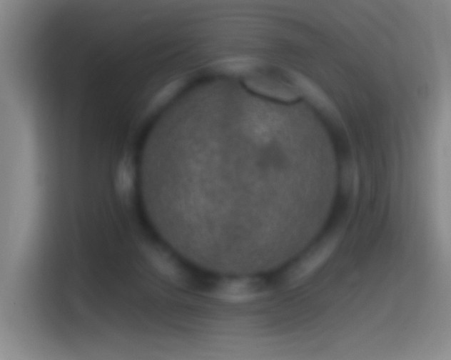 X0000114390072200910231025