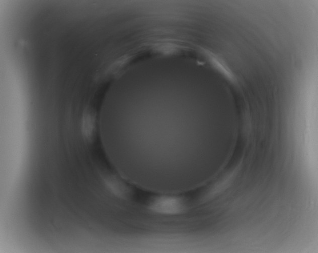 X0000114390073200910231025