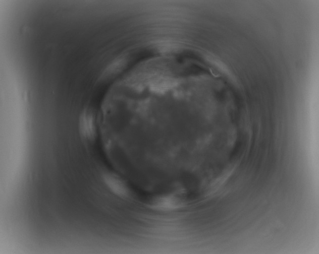 X0000114390074200910231025