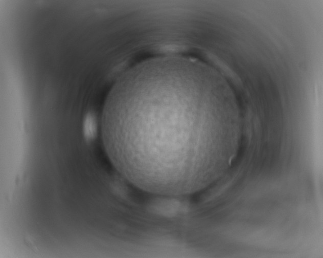 X0000114390075200910231025