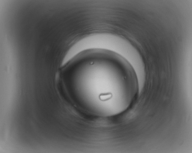 X0000114390076200910231025