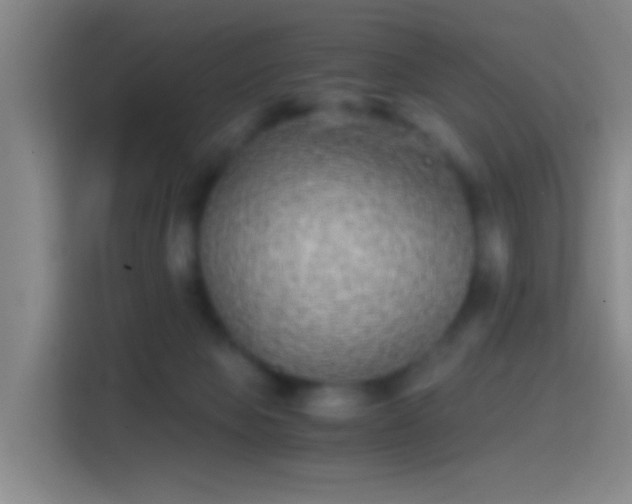 X0000114390077200910231025