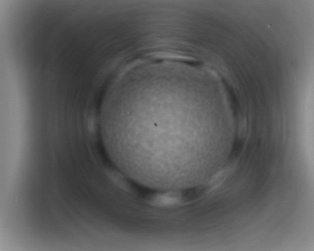 X0000114390078200910231025