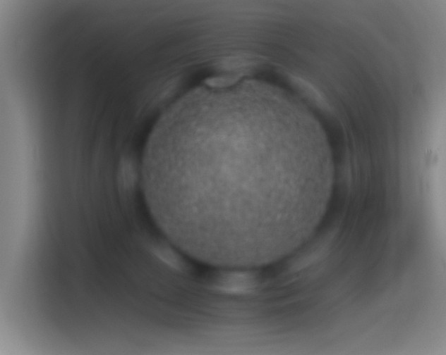 X0000114390081200910231025