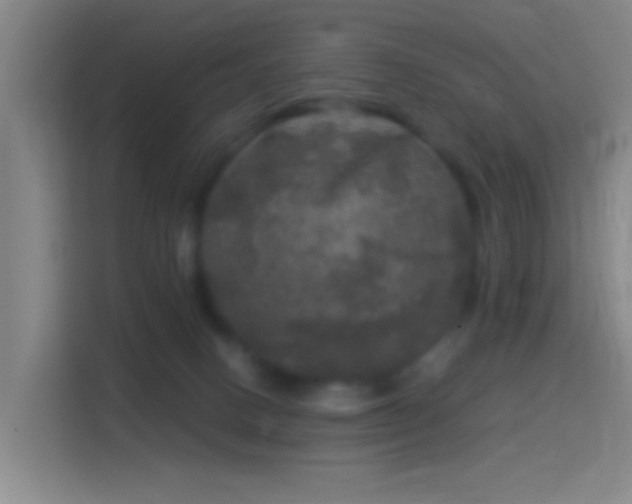 X0000114390082200910231025