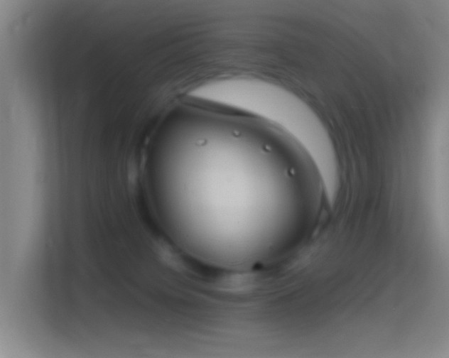 X0000114390084200910231025