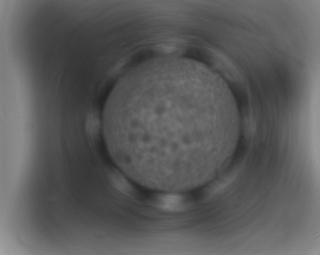 X0000114390085200910231025