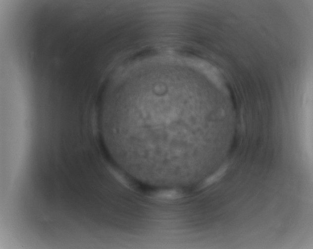 X0000114390086200910231025