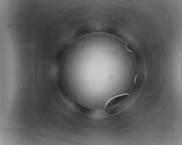 X0000114390087200910231025