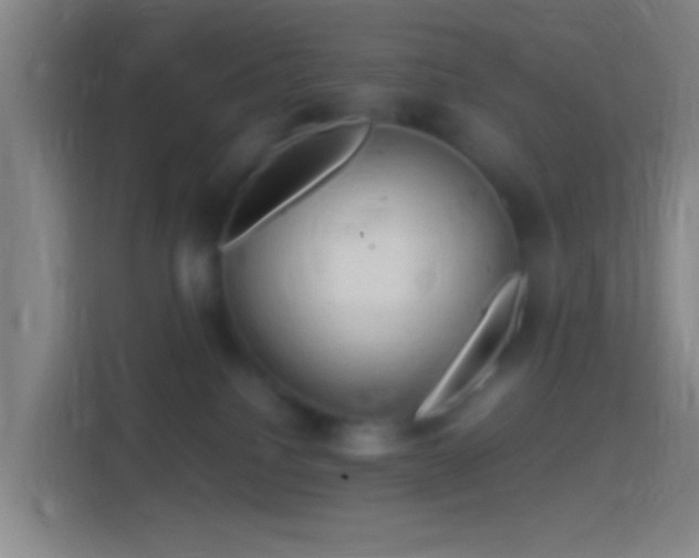 X0000114390088200910231025