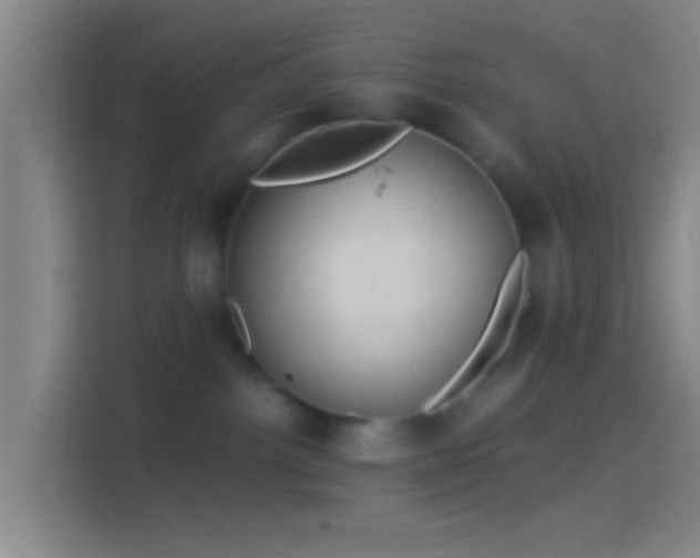 X0000114390092200910231025