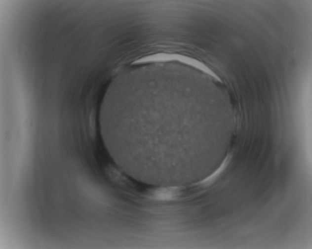 X0000114390094200910231025