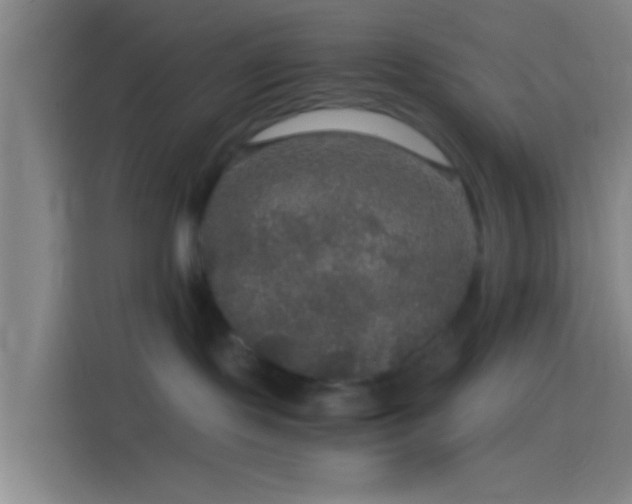 X0000114390095200910231025