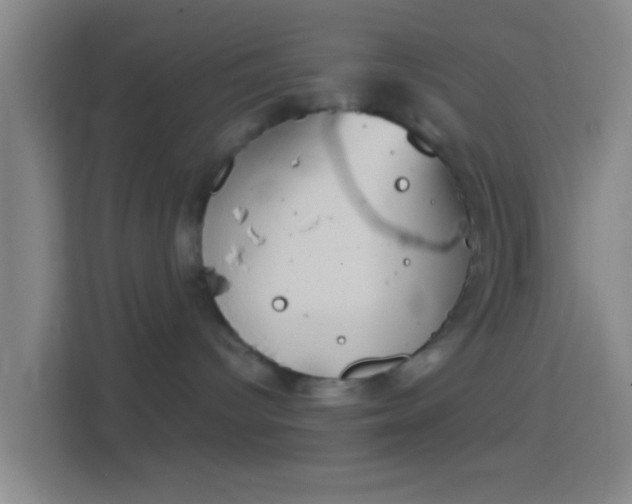 X0000114390096200910231025