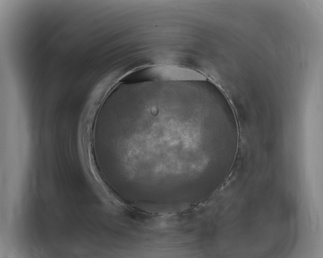 X0000114390097200910231024
