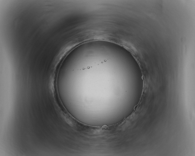 X0000114390098200910231024