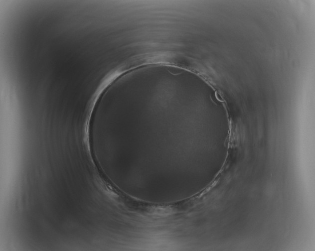 X0000114390099200910231024
