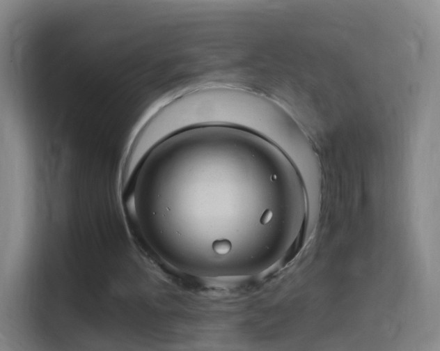 X0000114390100200910231024