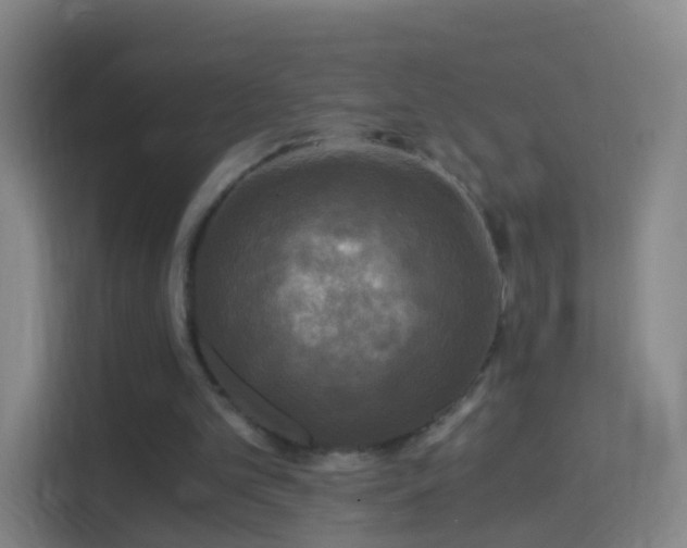 X0000114390101200910231024