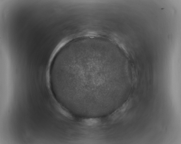 X0000114390102200910231024