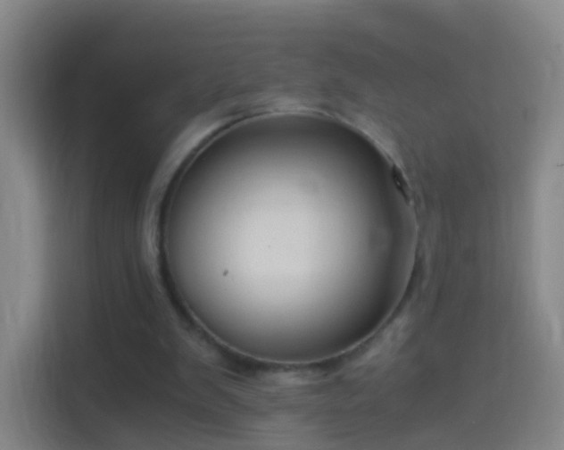 X0000114390103200910231024
