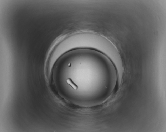 X0000114390104200910231024