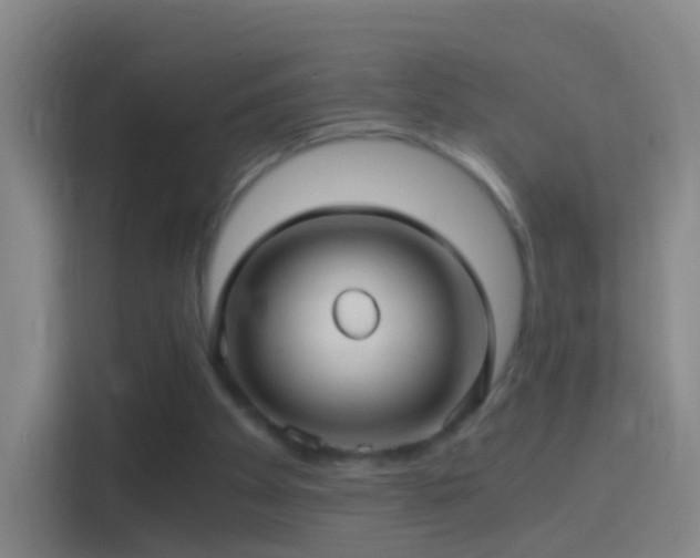 X0000114390105200910231024