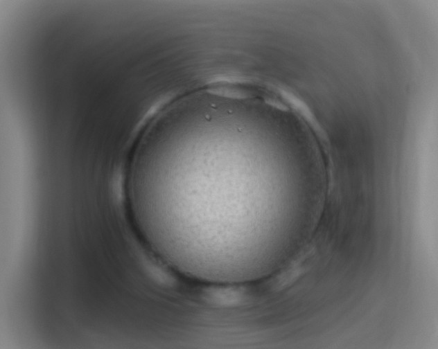X0000114390106200910231024