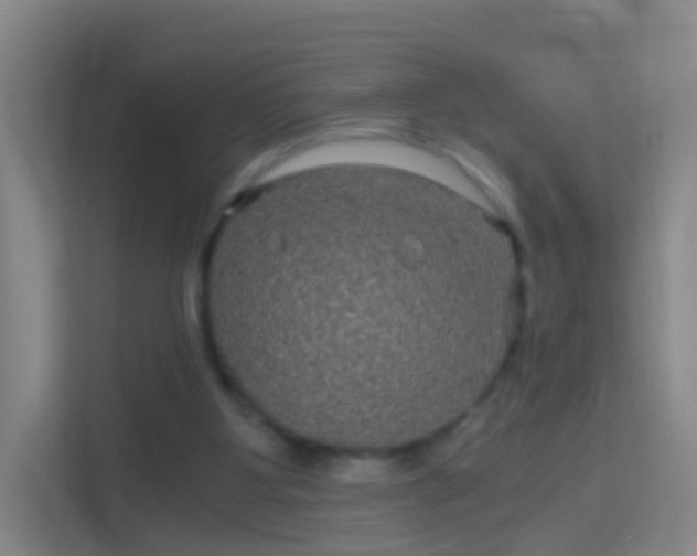 X0000114390107200910231024