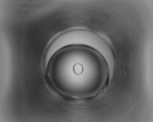 X0000114390108200910231024