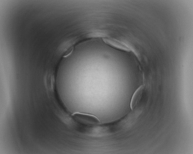 X0000114390109200910231024
