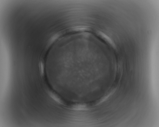 X0000114390110200910231024