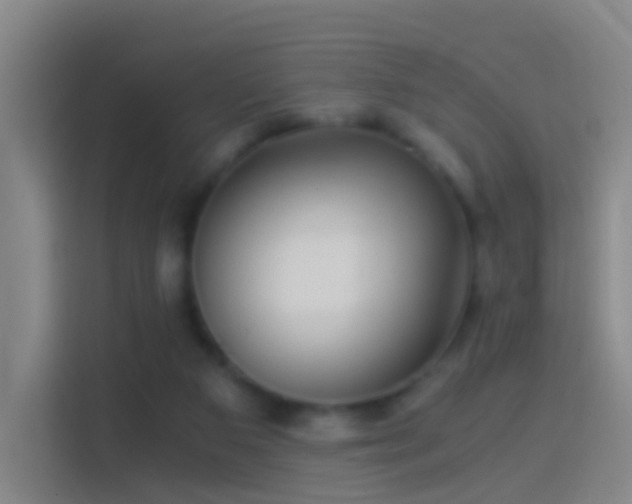 X0000114390113200910231024