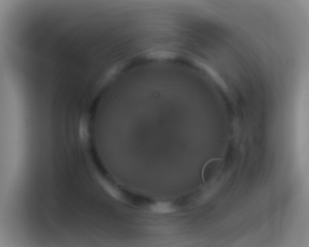 X0000114390114200910231024