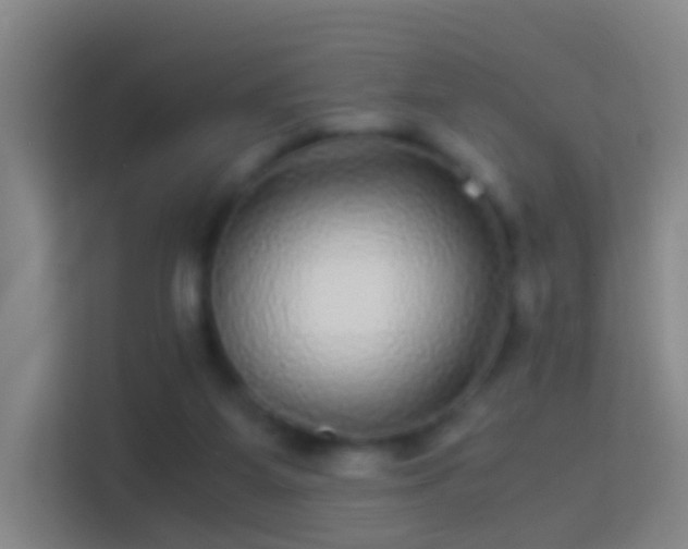 X0000114390115200910231024