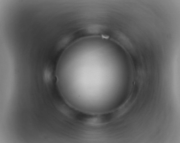 X0000114390116200910231024