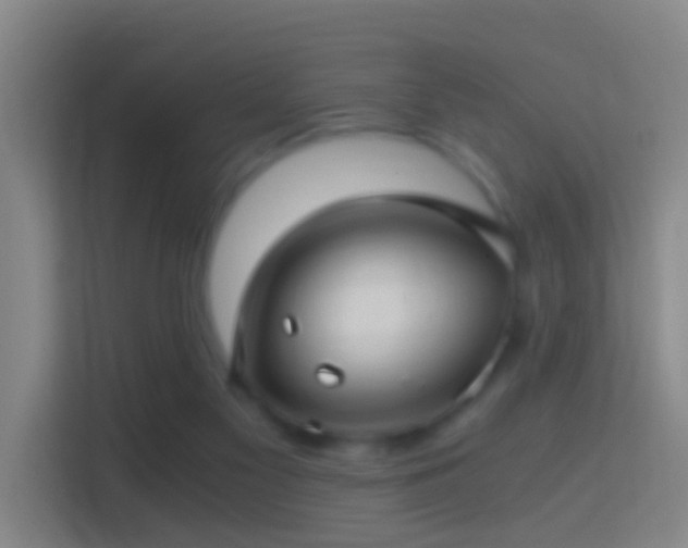 X0000114390117200910231024