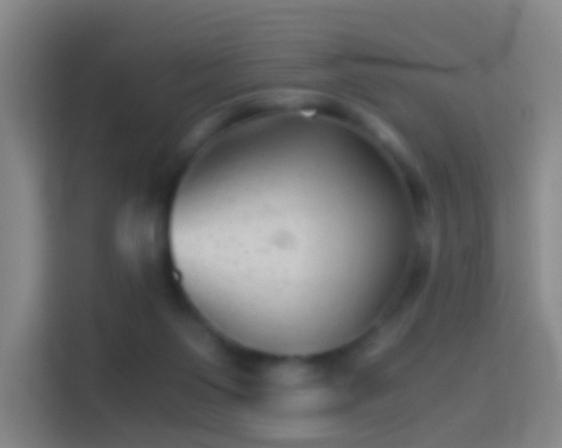 X0000114390119200910231024