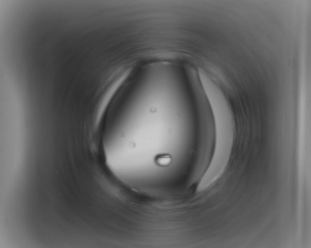 X0000114390120200910231024