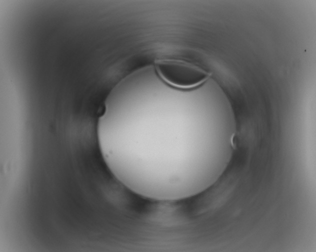 X0000114390121200910231024