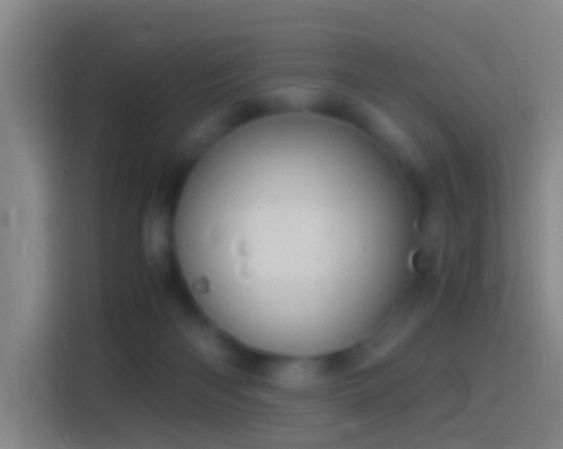 X0000114390122200910231024